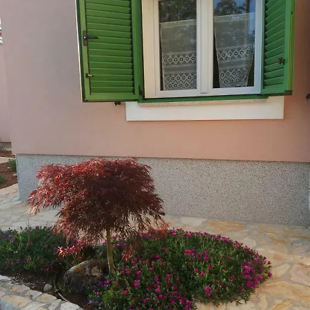 Malini فيلة Grožnjan