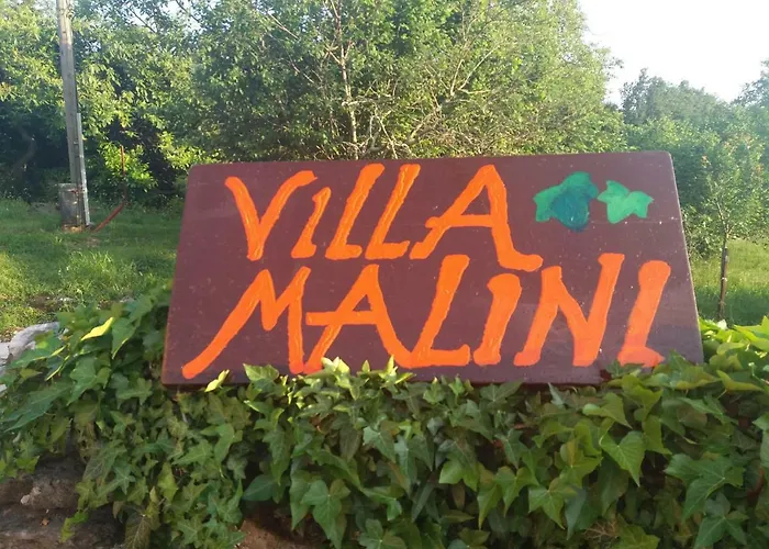 Malini