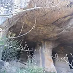 Malini