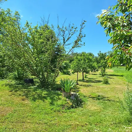 Malini Villa